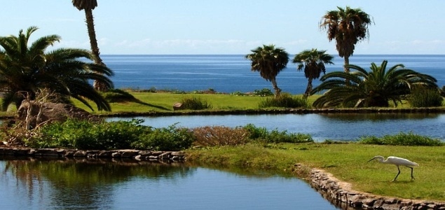 Golfplatz Teneriffa