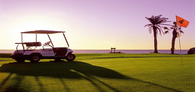 Amarilla Golf Buggy