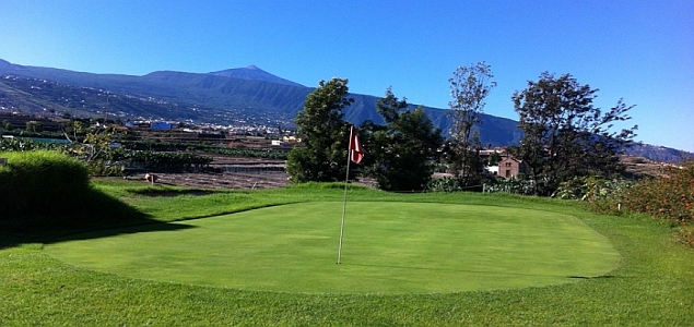 La Rosaleda Golf Club Green